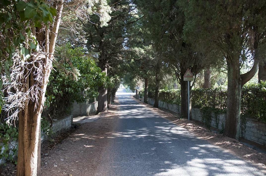 Il Maestro E L'Innamorata Sutri Εξωτερικό φωτογραφία